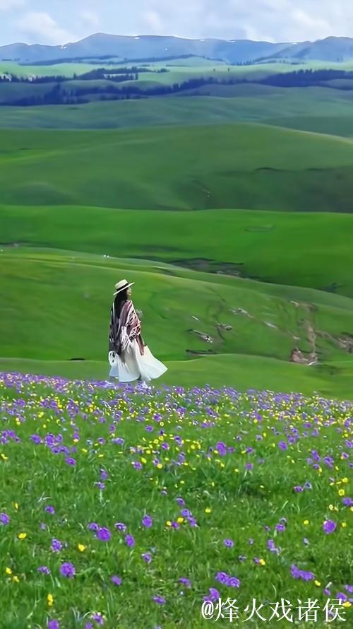 漫步在青青草原,伊人如诗如画 漫步在青青草原,伊人如诗如画